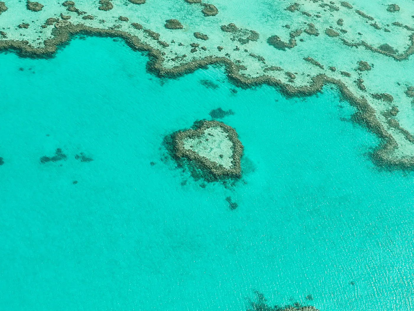 Cœur de la Grande Barrière de Corail, Australie, avec des eaux turquoise et une biodiversité marine exceptionnelle.