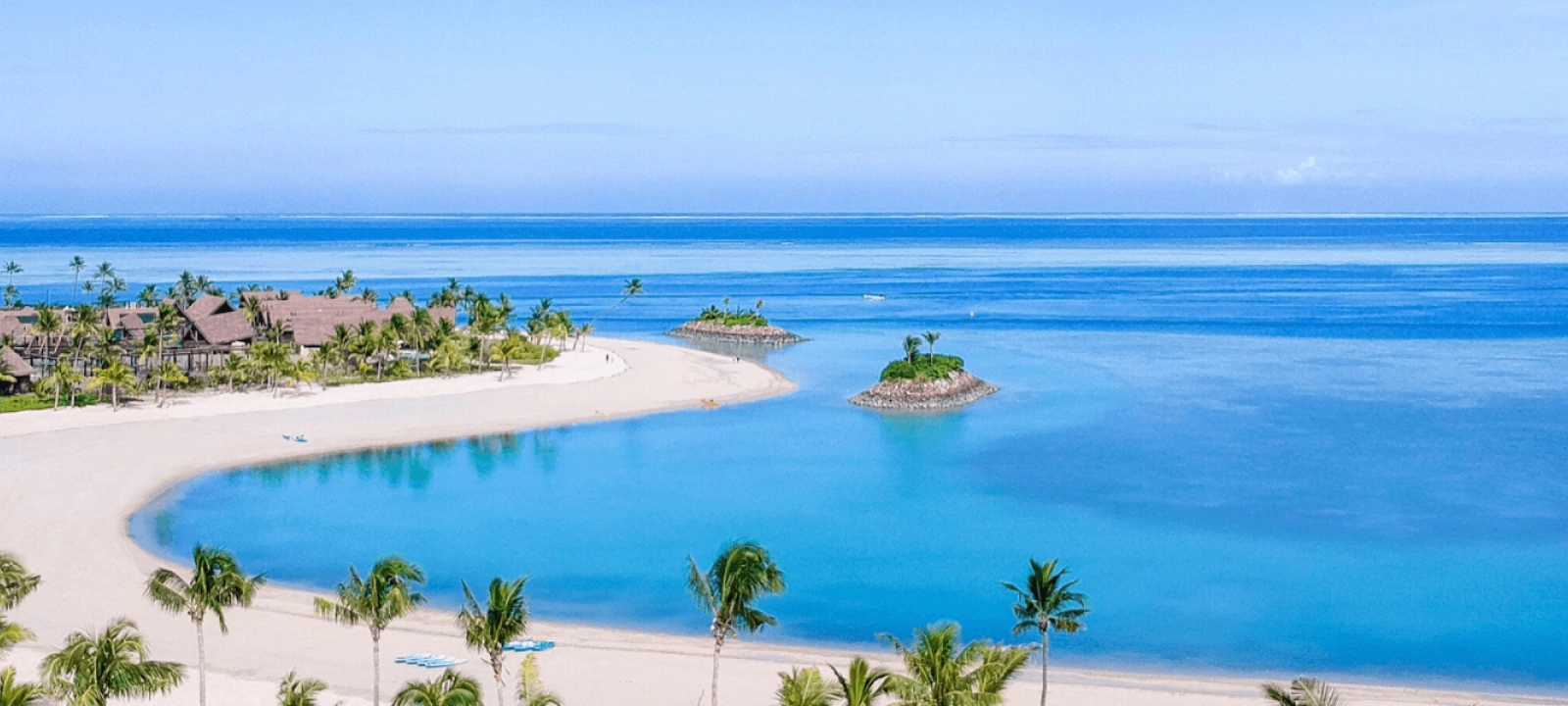 Plage ensoleillée avec des palmiers et un océan bleu, créant une atmosphère tropicale et relaxante.