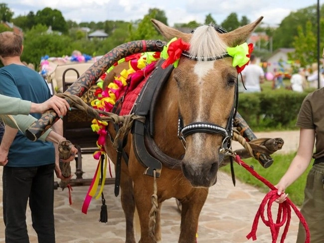 A woman holds a horse in front of a decorated carriage, illustrating an elegant, festive scene.