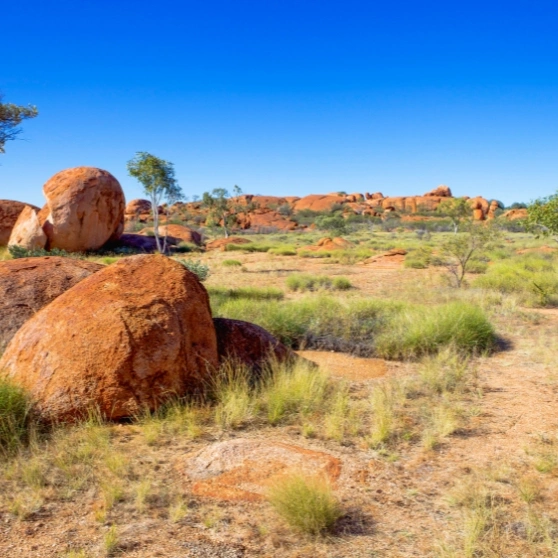 A woman taking a selfie while wearing a hat, smiling and capturing a moment of joy.
