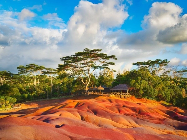 Dunes de sable colorées sous un ciel ensoleillé, entourées par la verdure luxuriante de la forêt tropicale.