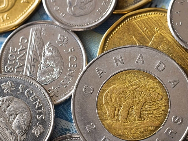 Des pièces du dollar canadien