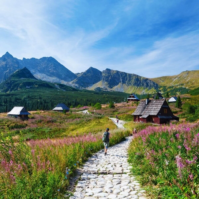 A tourist admiring the majestic scenery of Poland's Tatra Mountains, surrounded by nature and snow-capped peaks.