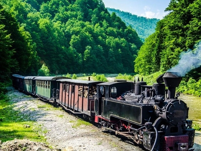 A steam train passes through a verdant forest, releasing steam into the cool, damp air.