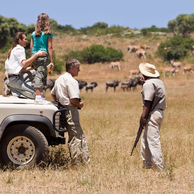 A family on safari, exploring the wilderness, surrounded by majestic animals and landscapes.