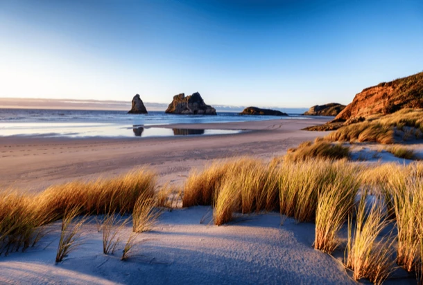 Plage de sable avec des herbes hautes et des rochers, offrant un paysage naturel apaisant et pittoresque.