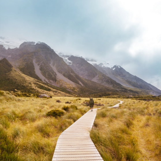 Pourquoi disposer d'argent liquide en Nouvelle-Zélande ?