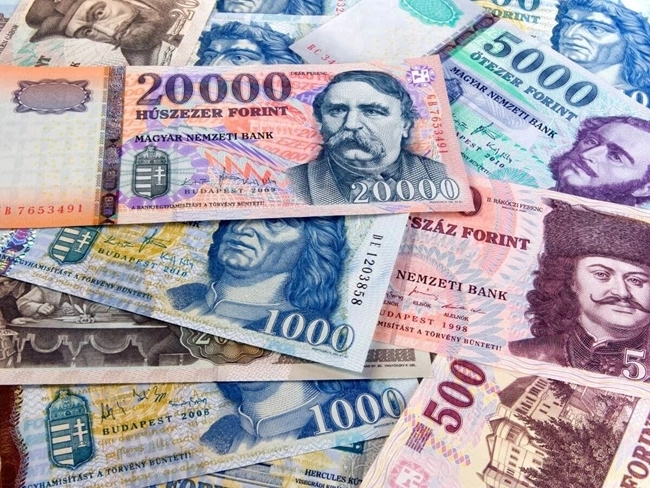 Hungarian Forint banknotes