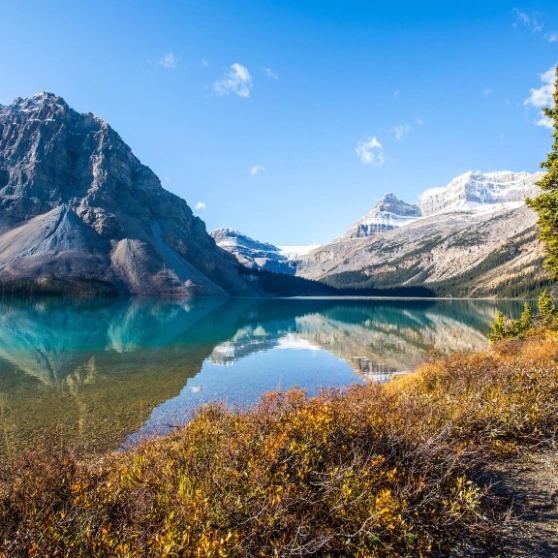 Waterfalls in the heart of a verdant forest, surrounded by lush foliage and soothing nature.