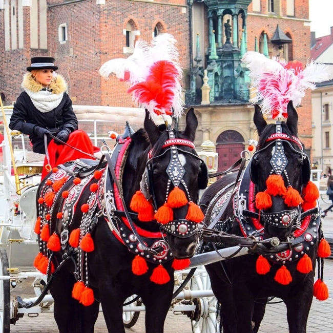 A woman travels in a horse-drawn carriage, enjoying a picturesque ride.