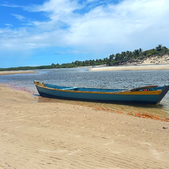 Pourquoi disposer d'argent liquide au Brésil ?