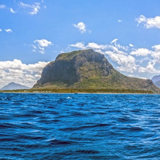 A woman taking a selfie while wearing a hat, smiling and capturing a moment of joy.