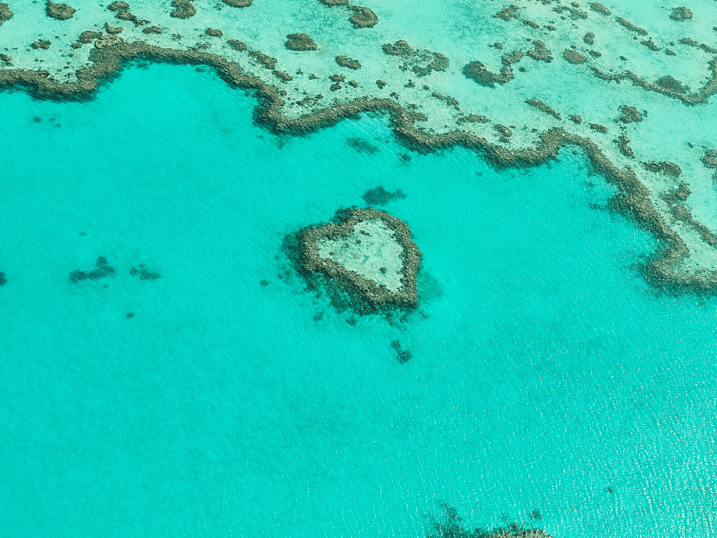 The grand barrier reef oceania